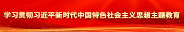 大鸡巴操尤物网站学习贯彻习近平新时代中国特色社会主义思想主题教育